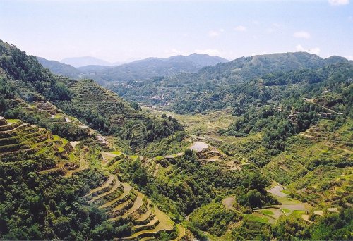 Banaue Rice Terraces, Luzon