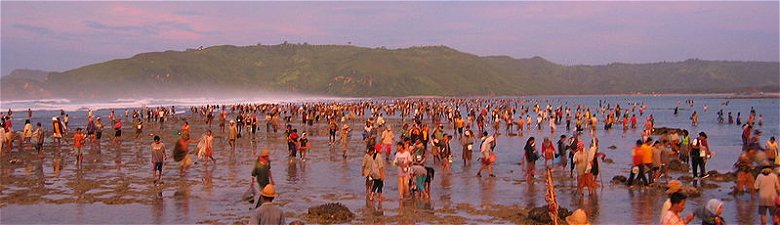 Bau Nyale, a festival for hunting sea worms in Lombok Bau Nyale, a festival for hunting sea worms in Lombok