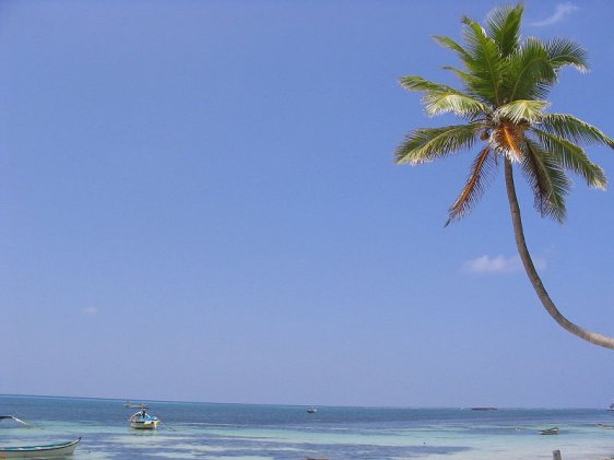 Beach at Kavaratti Island, Lakshadweep Beach at Kavaratti Island, Lakshadweep
