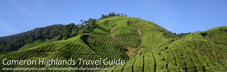 Cameron Highlands, Malaysia