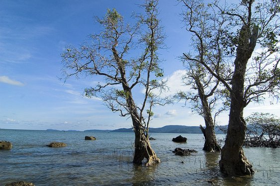 Seascape at Chidiyatapu in the Andaman Islands