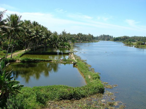 Co Luy, site of the My Lai Massacre Co Luy, site of the My Lai Massacre
