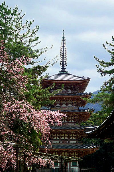 The five-storey pagoda of Daigo-ji Temple, Fushimi, Kyoto The five-storey pagoda of Daigo-ji Temple, Fushimi, Kyoto