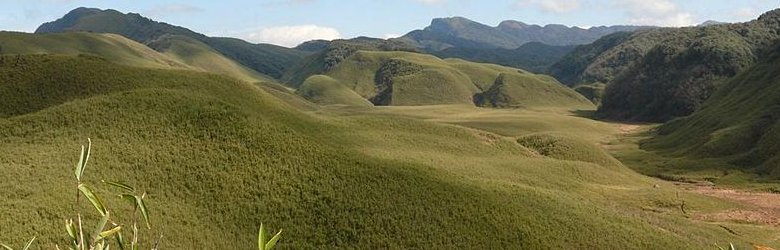 Dzuko Valley, Manipur Dzuko Valley, Manipur