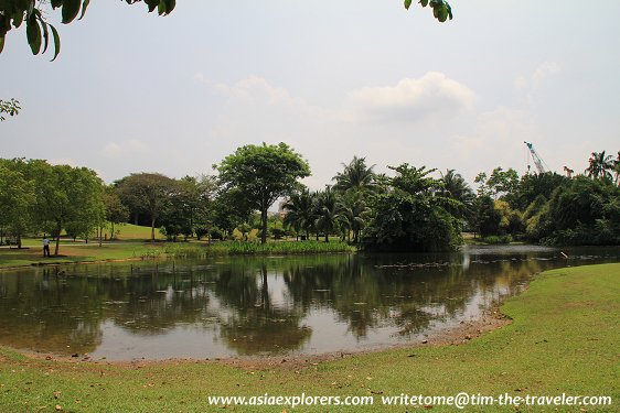 Eco Lake, Singapore Botanic Gardens Eco Lake, Singapore Botanic Gardens