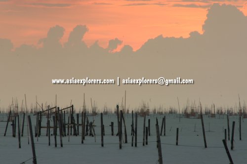 A sea of fish-traps in Songkhla, Thailand