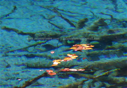 Autumn leaves in the Five Flower Lake