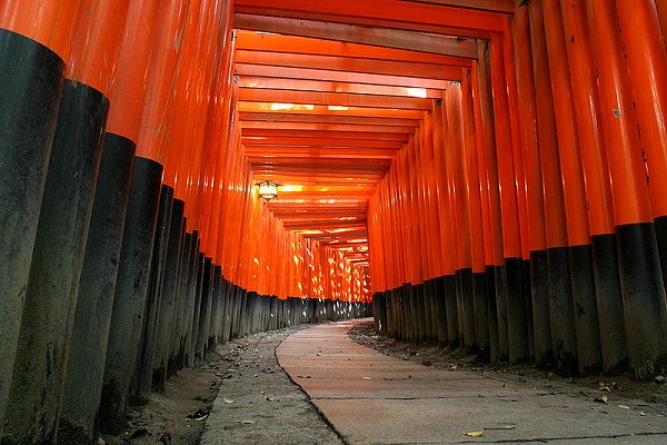 Torii gates at Fushimi Inari Shrine, Kyoto Torii gates at Fushimi Inari Shrine, Kyoto