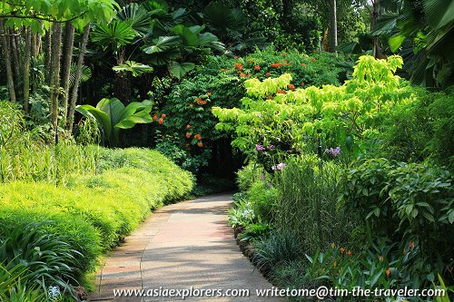 Garden path, Singapore Botanic Gardens Garden path, Singapore Botanic Gardens
