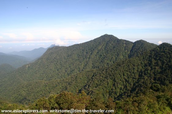 Gunung Irau, Cameron Highlands