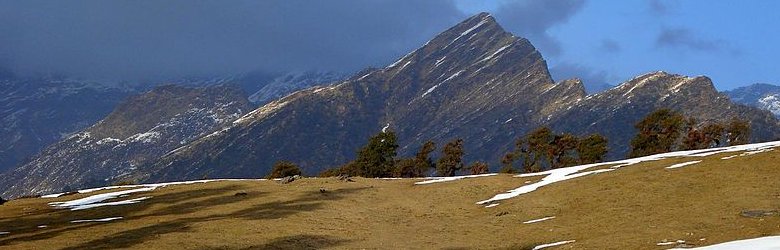 Highland pastures from Chopta to Tungnath Temple in Uttarakhand Highland pastures from Chopta to Tungnath Temple in Uttarakhand