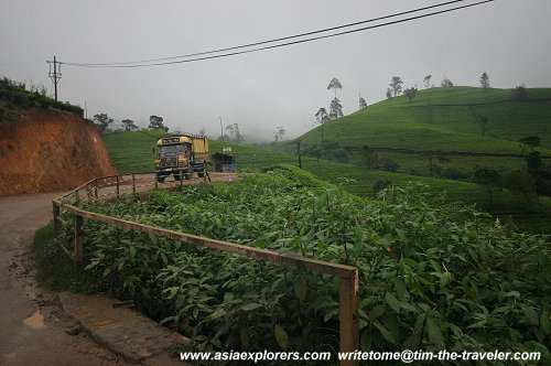 Hill road through the tea plantations at Nuwara Eliya Hill road through the tea plantations at Nuwara Eliya