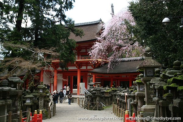 Lanterns at Kasuga Grand Shrine Lanterns at Kasuga Grand Shrine