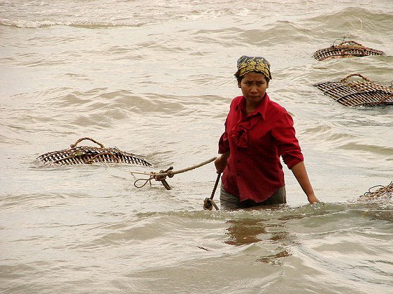 Bringing in seafood catch to the market in Kep, Cambodia
