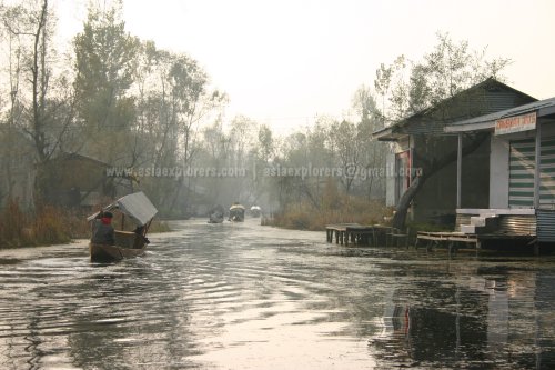 Life on Dal Lake