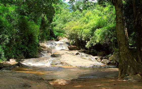 Mae Sa Waterfall at Doi Suthep-Pui National Park Mae Sa Waterfall at Doi Suthep-Pui National Park
