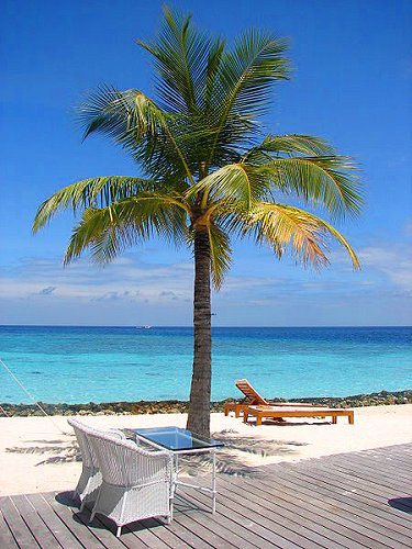 Scenic Maldives