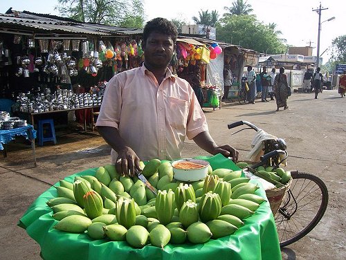 Mango seller in front of Samayapuram Mariyamman Temple in Tiruchirappalli
