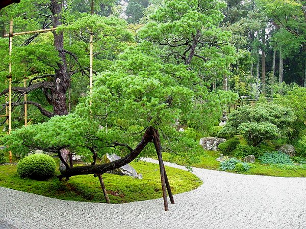 The garden of Manshu-in Temple, Kyoto The garden of Manshu-in Temple, Kyoto