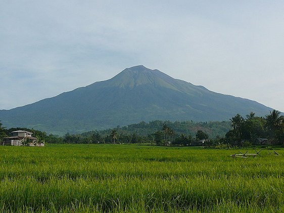 View of Mount Kanlaon volcano from the rice fields in Negros Occidental View of Mount Kanlaon volcano from the rice fields in Negros Occidental