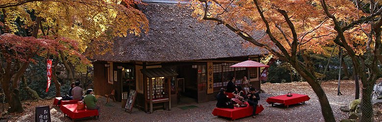 Mizutani-tyaya in Nara, Japan