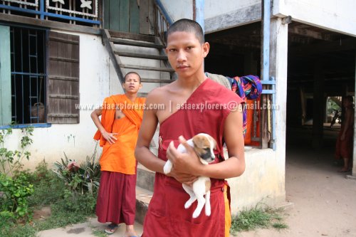 Novice monk with puppy