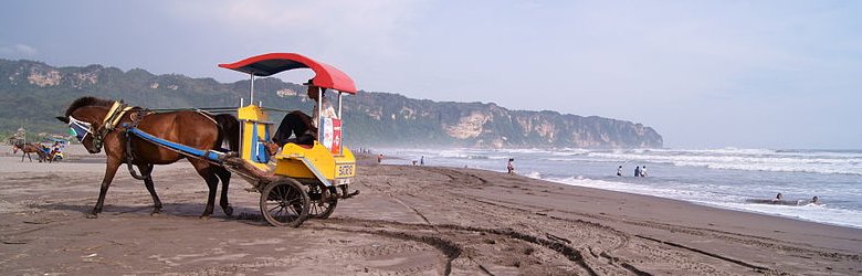 Horse cart at Parangtritis Beach in Yogyakarta, Java