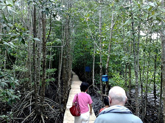 Peam Krasop Wildlife Sanctuary in Koh Kong, Cambodia