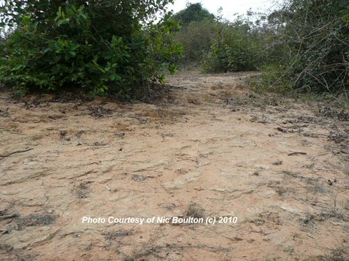 Possible sandstone floor of Kuk Dong