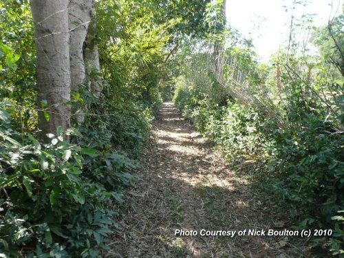 Middle of the path to Prasat Prei Monti