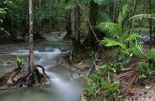 Sra Morakot Emerald Pools, Krabi