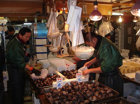 Stall at Tsukiji Fish Market Stall at Tsukiji Fish Market