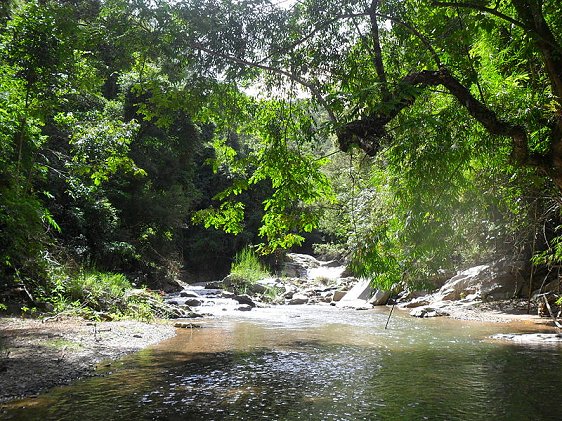 Stream in Kon Tum Stream in Kon Tum