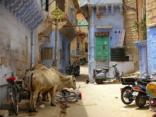 Street in Jodhpur, Rajastan Street in Jodhpur, Rajastan