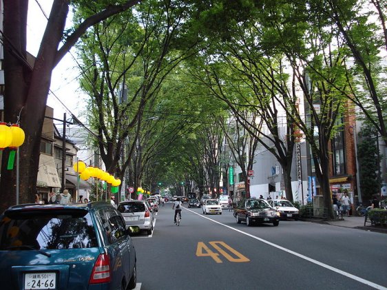 Street in Suginami, Tokyo Street in Suginami, Tokyo