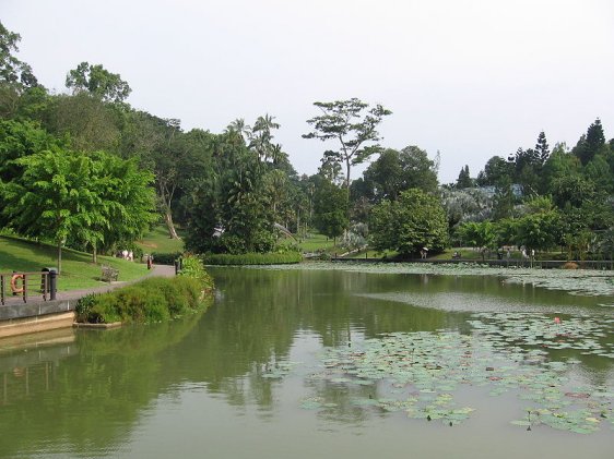 Symphony Lake, Singapore Botanic Gardens Symphony Lake, Singapore Botanic Gardens