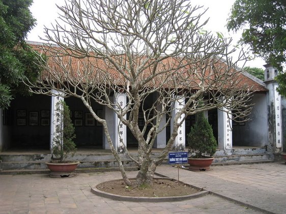 Temple of Literature of Hung Yen Province Temple of Literature of Hung Yen Province