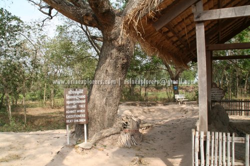 The Killing Tree at the Killing Fields