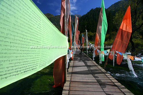 Tibetan prayer flags flutter in the wind