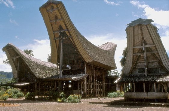 Tongkonan, the origin houses of Tana Toraja Tongkonan, the origin houses of Tana Toraja