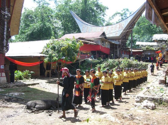 Toraja funeral procession Toraja funeral procession