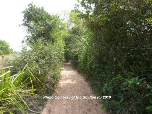Towards Kuk Dong