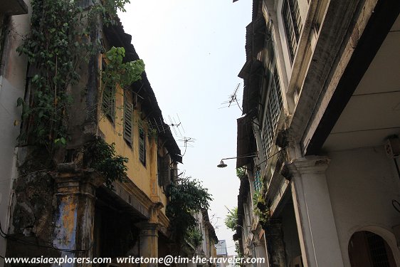 Vegetation taking over the houses at Panglima Lane Vegetation taking over the houses at Panglima Lane
