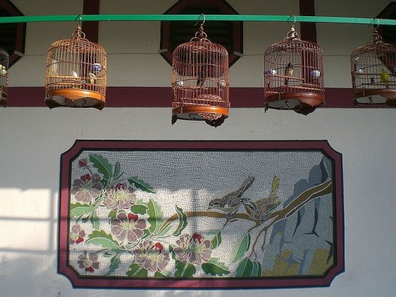 Yuen Po Street Bird Garden, Mong Kok